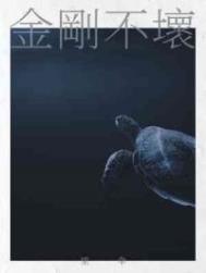 金刚不坏的身体