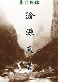 沧源天天进出口